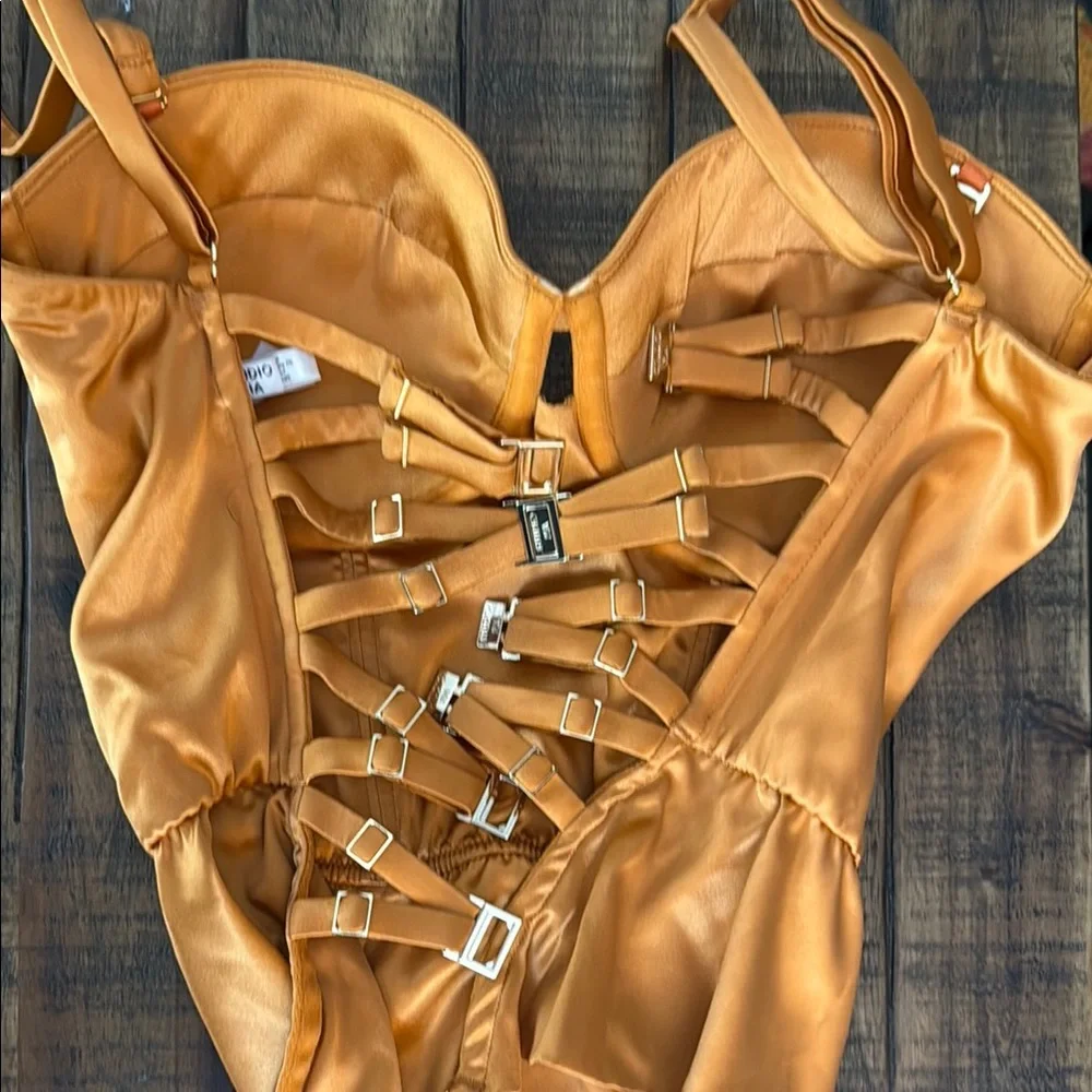 Studio Pia Rust Orange Bodysuit with Molded Cups - Picture 3 of 6